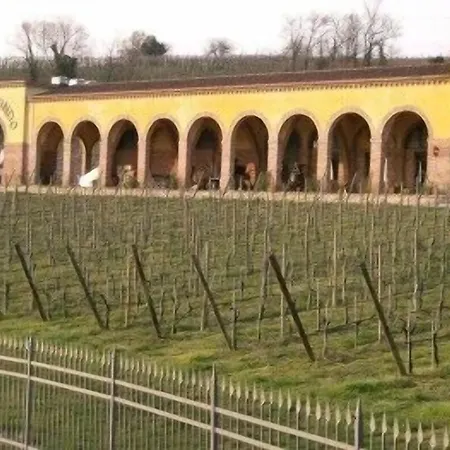 Monte Tondo Winery *