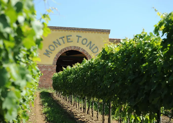 Monte Tondo Winery E *