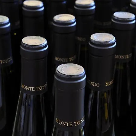 Monte Tondo Winery 컨트리하우스 소아베