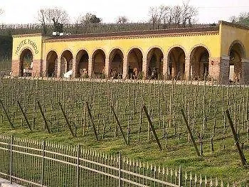 Monte Tondo Winery منزل ريفي سواف