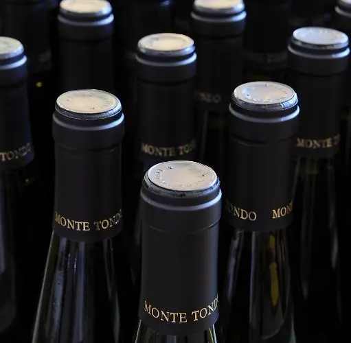 Monte Tondo Winery Hétvégi ház Soave