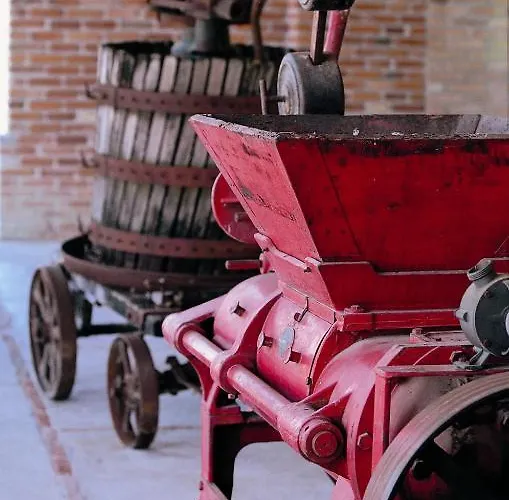 Monte Tondo Winery Soave (Verona)